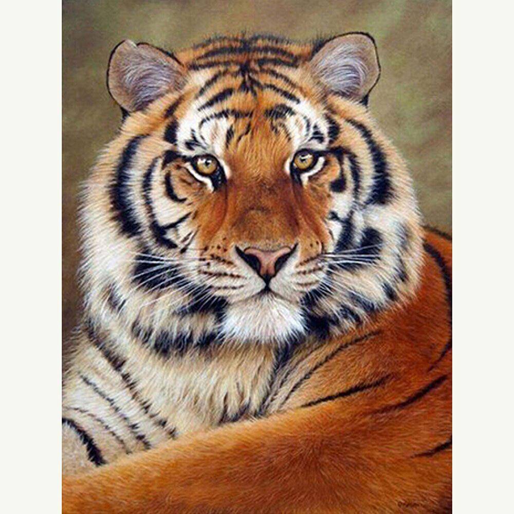 Diamantbroderi 5D-diamantmålning Tiger Diamantmosaik Djur Korsstygnsdekor 50X70CM