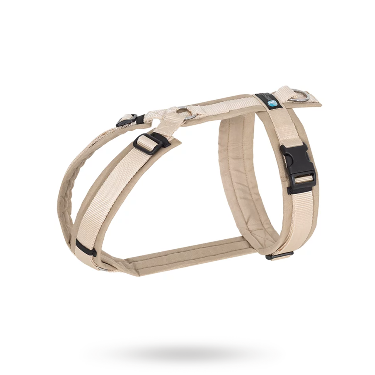 Anny-X Fun Hundsele Guelder Rose (l)