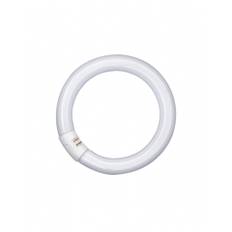 T9 cirkellysrör Lumilux C 6500K 2150lm G10q 32W
