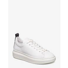 PAVEMENT Dee |Vit |39
