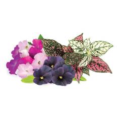 Click And Grow Smart Garden Refill 9-pack Italienska örter - Livlig Blomstermix