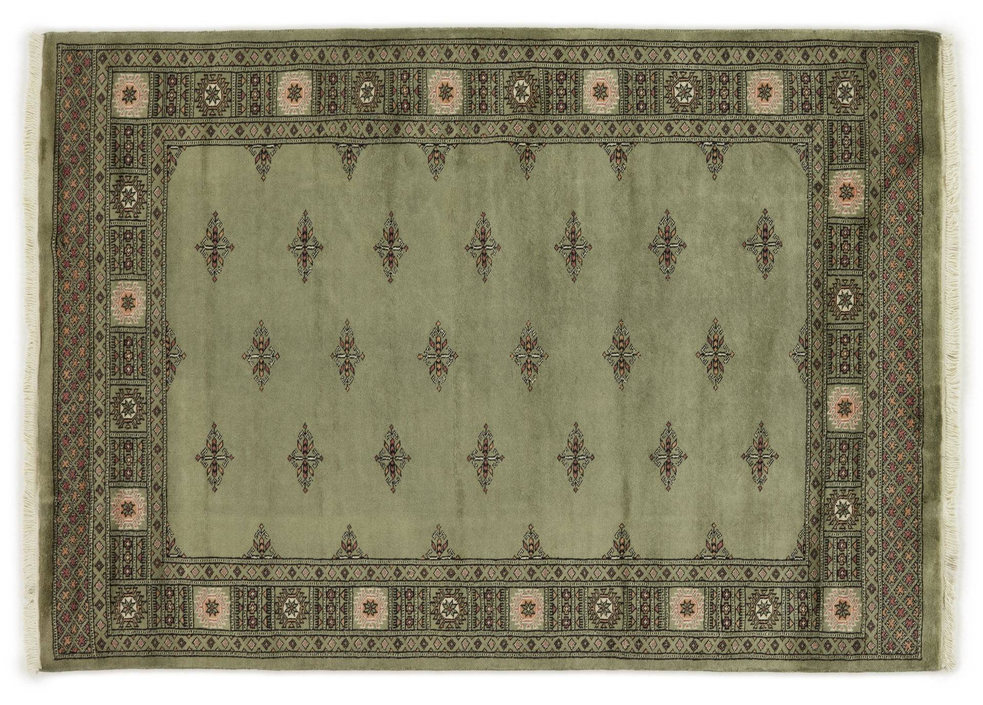 Pakistan 3 Ply