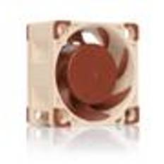 NOCTUA NF-A4x20 PWM