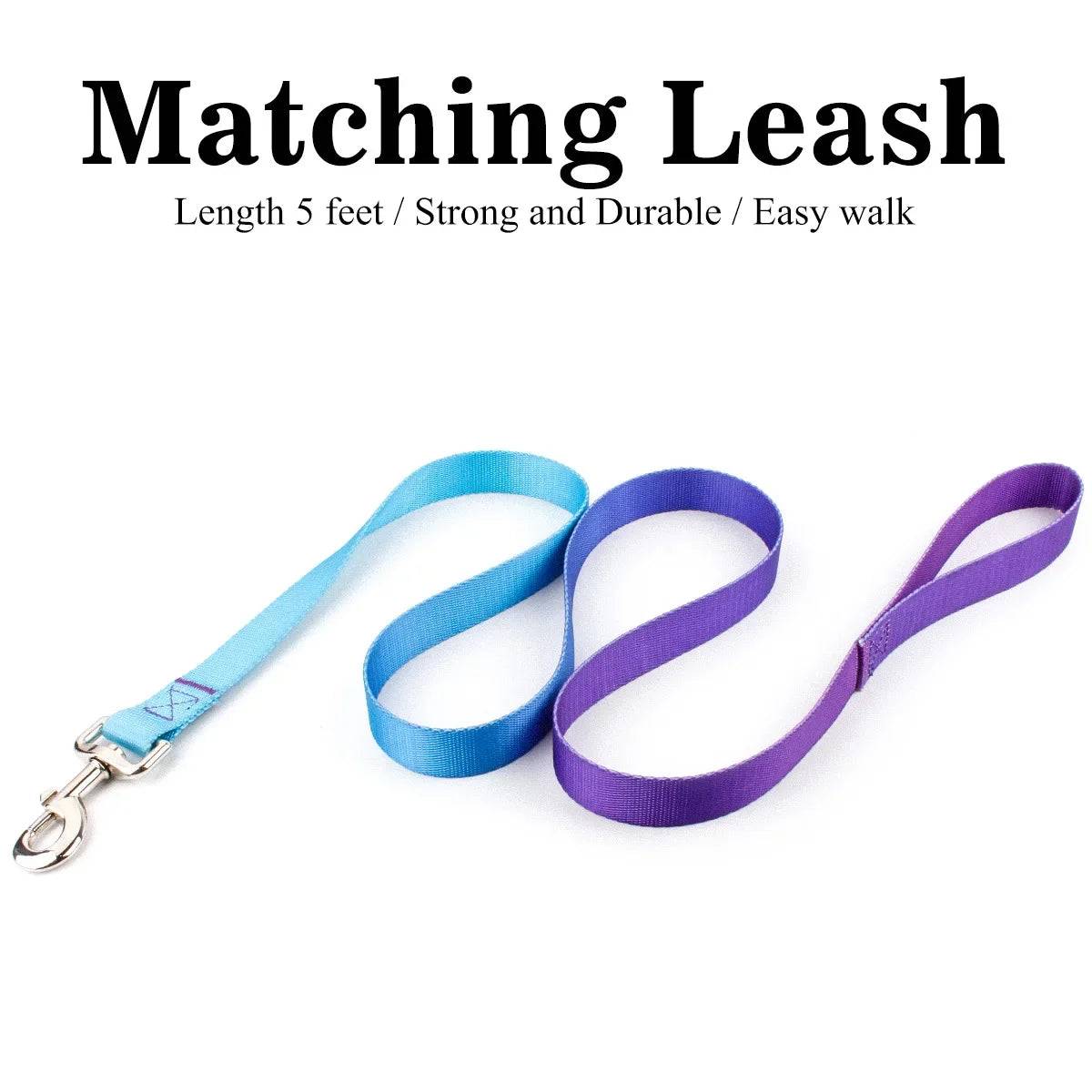 Adjustable Nylon Dog Collar & Leash Set - For Small to Large Dogs - Leash Light Blue / M 17KG-32KG (M 17KG-32KG)