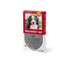 Bayvantic Vet. hund 40-60 kg, 4x6,0ml