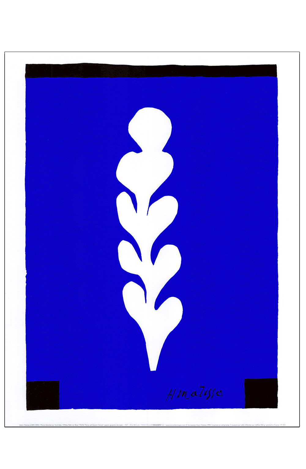 Matisse. White palm on blue