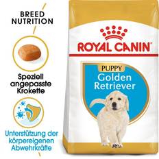 ROYAL CANIN Golden Retriever Puppy torrfoder för valpar 24 kg (2 x 12 kg)