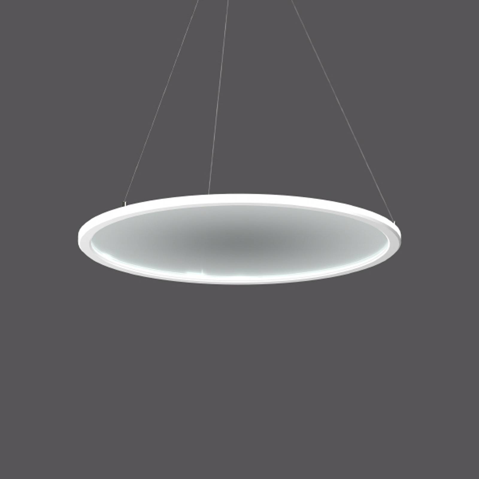 BEGA Pendellampa Sidelite ECO, Genomskinlig / transpare, Arbetsrum / kontor, Aluminium / grå / zink