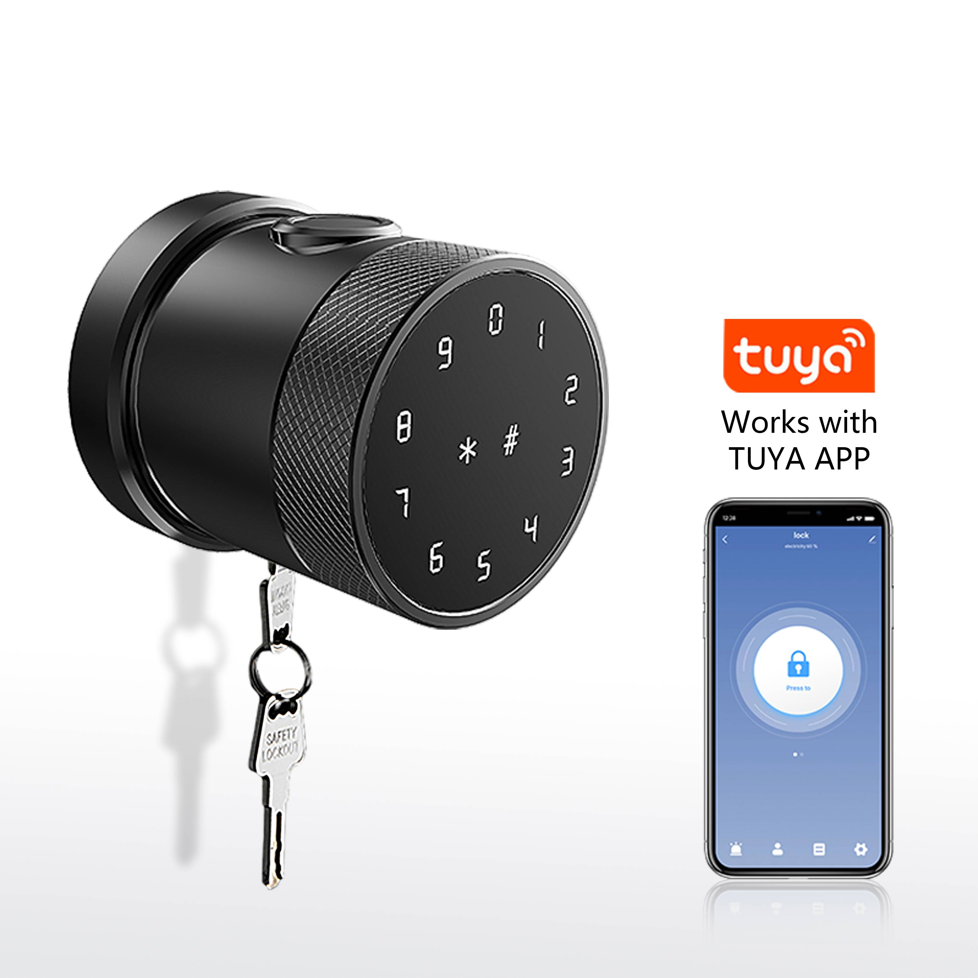 Custom Wireless Digital Electronic Fingerprint Wifi Door Lock with Tuya Smart Life APP