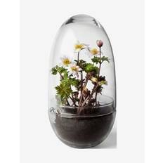 Design House Stockholm Grow Greenhouse - Gå-bort presenter - CLEAR / undefined