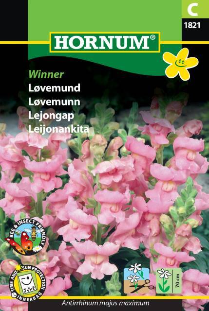 Lejongap 'Winner'