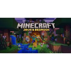 Minecraft Java and Bedrock (PC) - Java And Bedrock