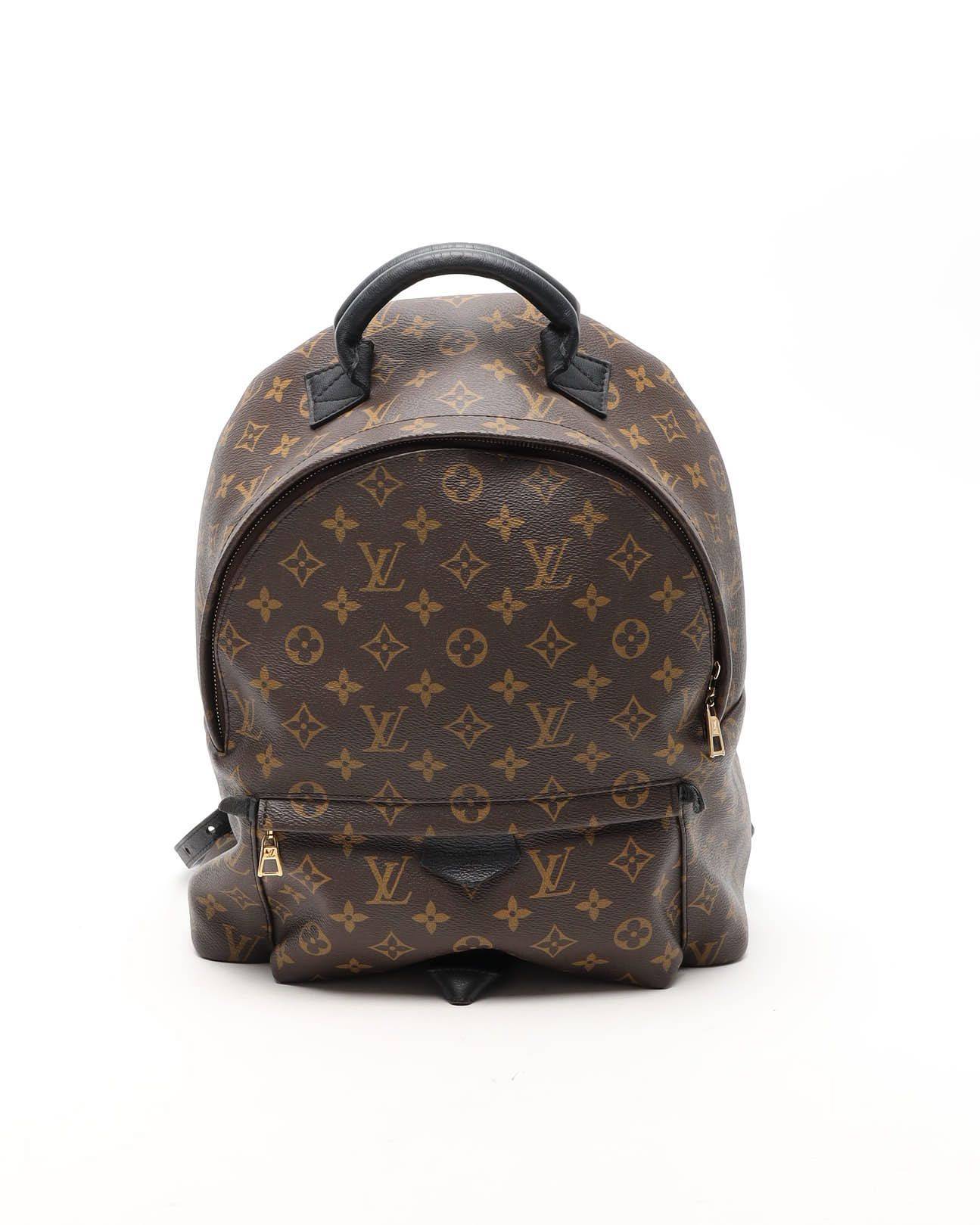 Louis Vuitton Palm Springs PM Backpack - Brown (One Size)