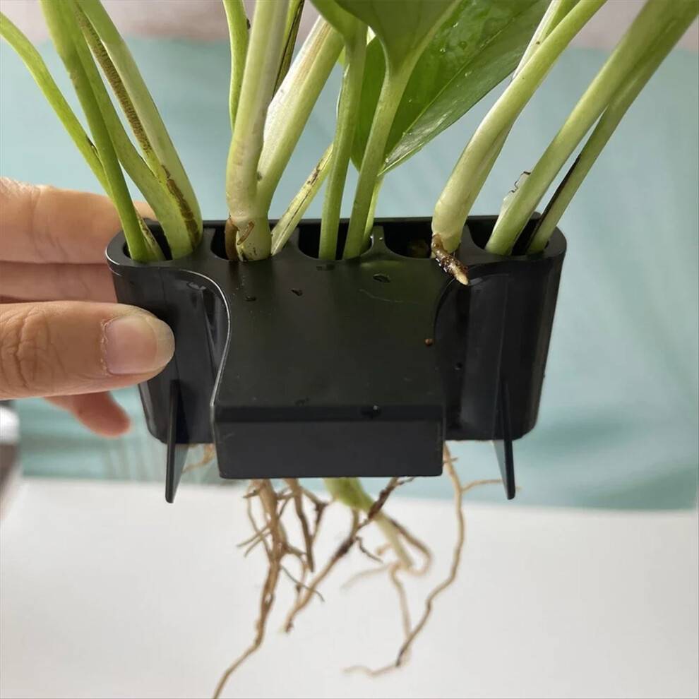 Akvarieplante Akvarium Plantekurv Fisketankdekorationer med integreret krog til akvarium Pottedyr Akvarium