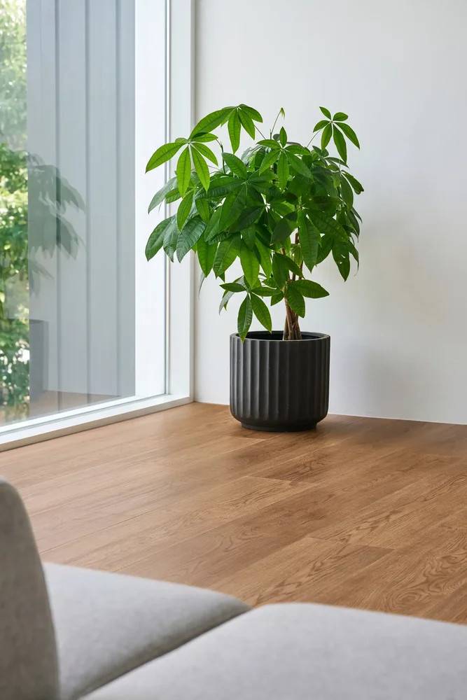Nordheim Plank, 9586 Røget eg.
