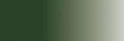 Camouflage Green