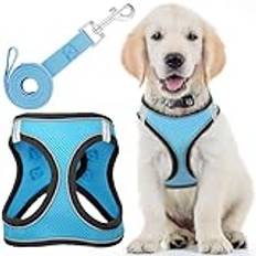 Dog Harness with Leash - Small, Husky Blue - Soft-Padded & No-Pull Design Pet Harness with Reflective Strips for Safety - by EcoEarth