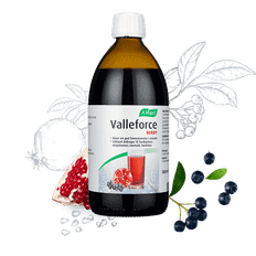 A.Vogel Valleforce Berry (500 ml)