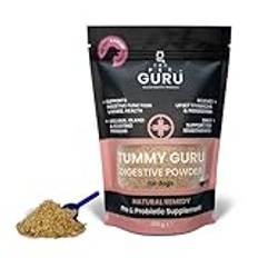 THE PET GURU magen Guru matsmältningspulver tillskott för hundar, 200 g - naturlig hundhälsa - före och probiotiskt - Näringsabsorption - förbättra immunitet - Anala körtelproblem - lindrar upprörd