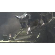 The Last Guardian PS4 Account