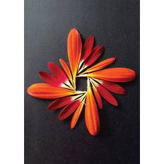 Postkort - Natur Mandala