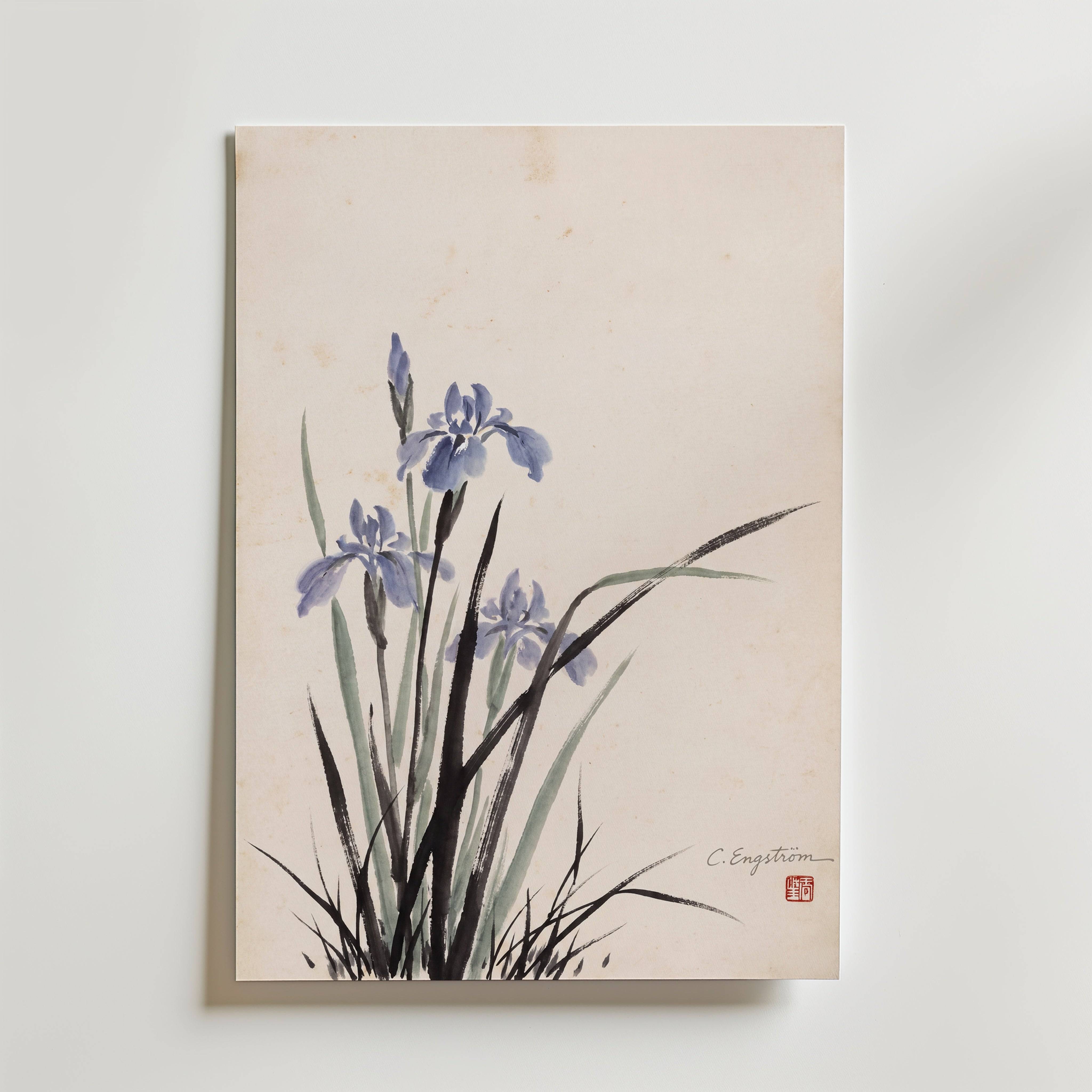 Iris By Caroline Engstr�m - Fine Art Poster 30x40 cm Utan passepartout
