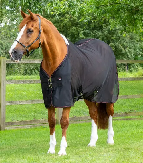 Premier Equine netdækken Ventoso - Sort