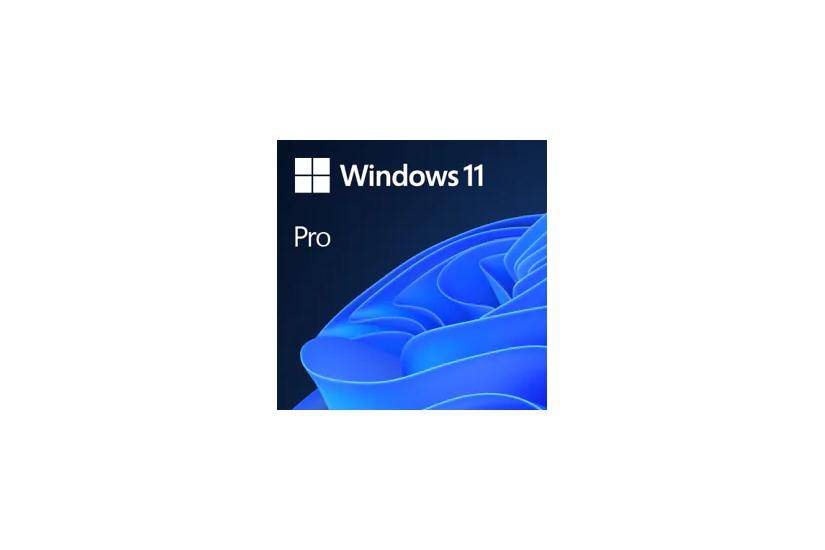 Windows 11 Pro - ESD Licens 1 PC (Multi sprog)