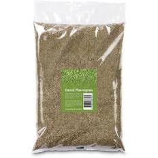 Græsfrø Groft 1,8 kg - Dansk Plænegræs