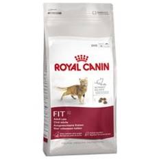 Royal Canin Fit 32 Adult 4 kg.