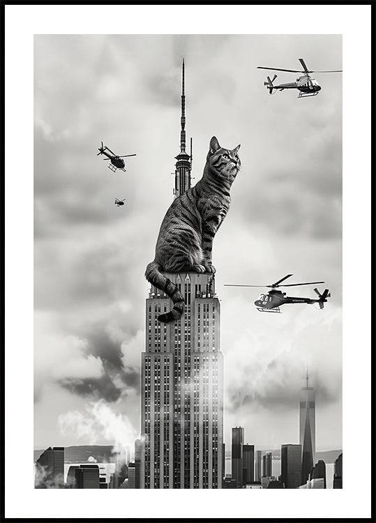 Cat on top Plakat (70x100cm) - Plakater > Sort og Hvid Plakater, Arkitekturplakater, Dyreplakater, Humoristiske Plakater, Pictufy, BD