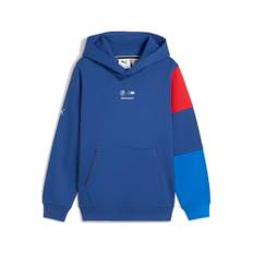 PUMA BMW M Motorsport Kids Essentials Hoodie Youth, Collection, Pro Blue/M Color, 15-16Y