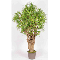 Stort kunstigt Dracaena træ H200 cm