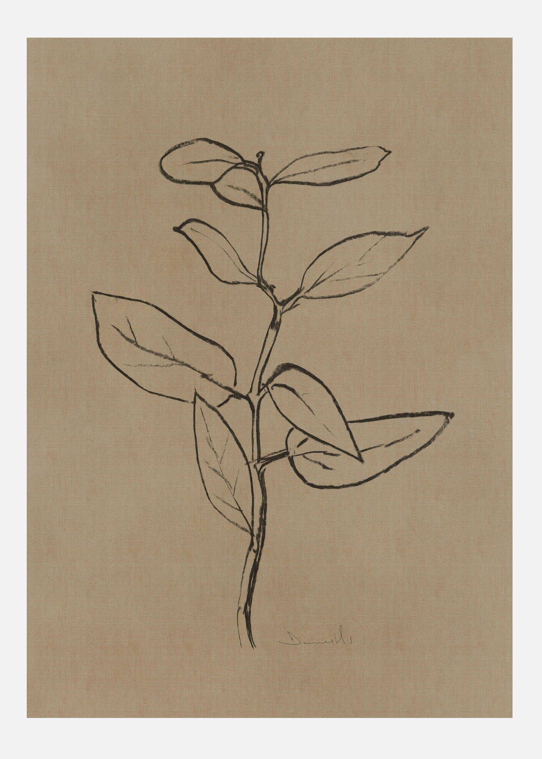 Eucalyptus Sapling Canvastavla (50x70 cm)