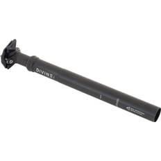 Divine SL 31.6 Dropper Post