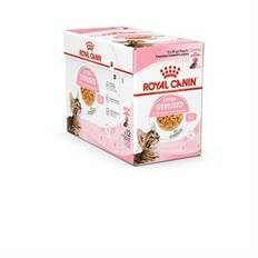 Royal Canin Kitten Sterilised Jelly Vådfoder til Killing 12 x 85 g.