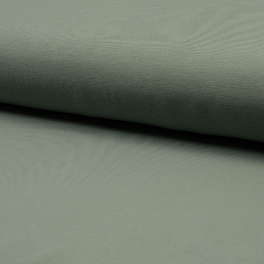 GOTS. Enfärgad trikå - Pale Green