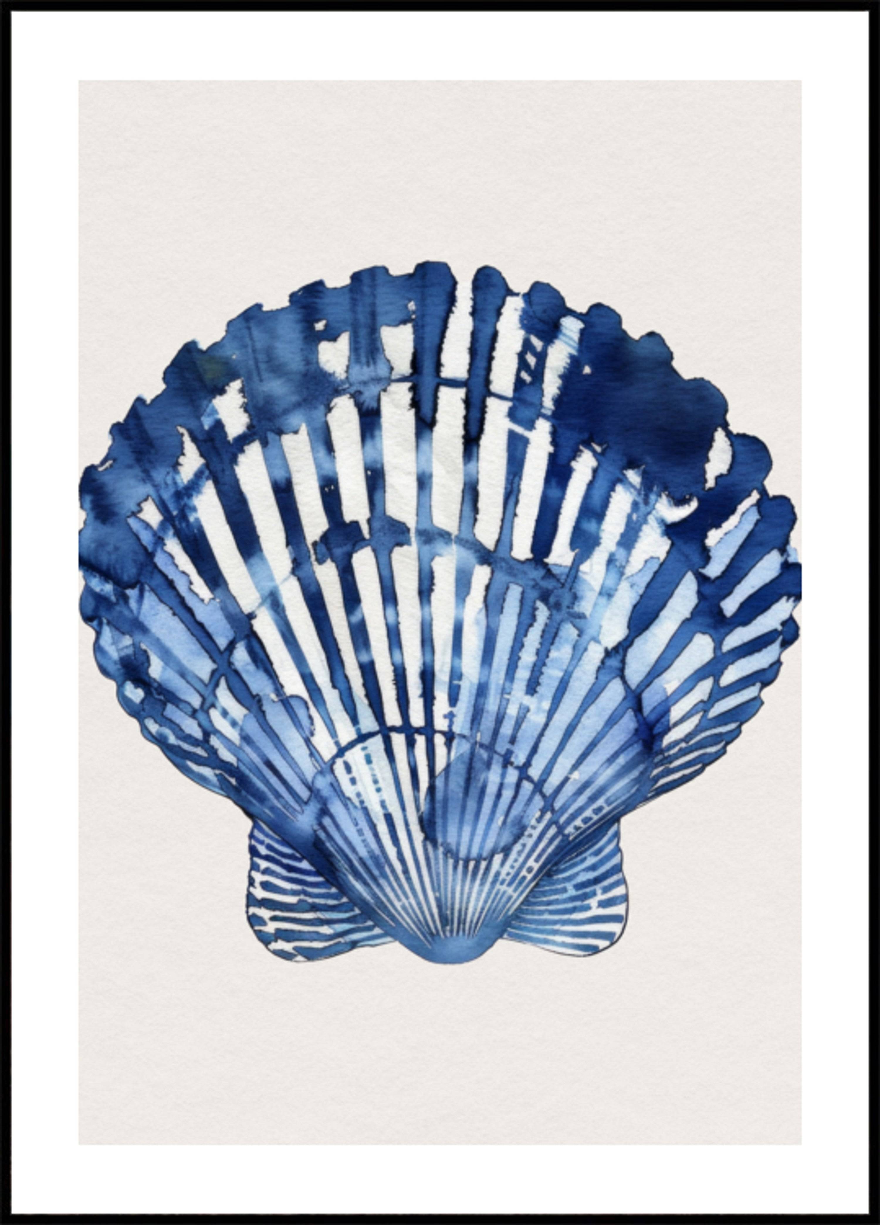 Indigo Seashell (30x40) - Plakater > Akvarell, Natur Posters, BD
