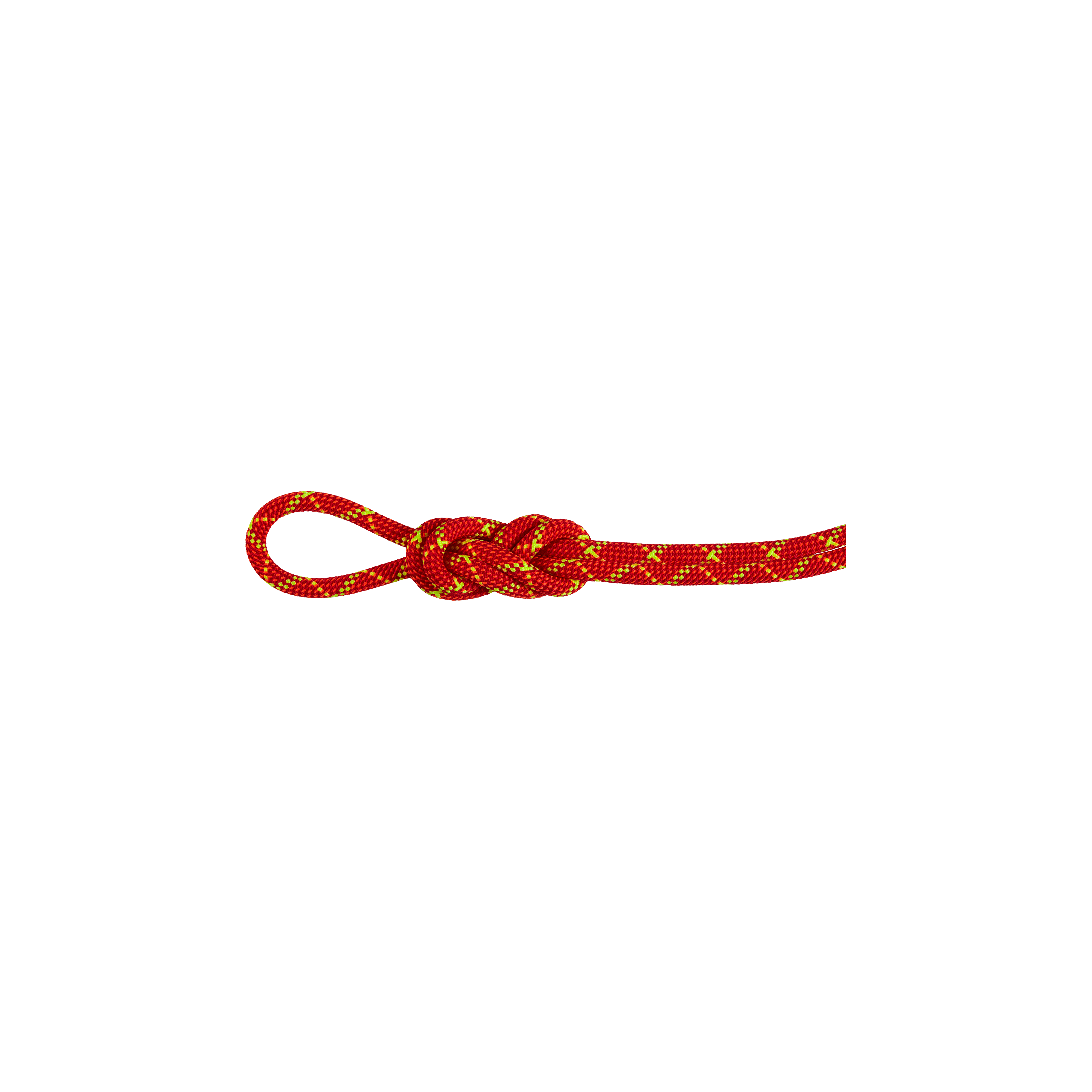 Mammut Impregnated, dynamic double rope with high cut resistance 8.0 Alpine Core Protect Dry Rope 30m Red 30 m