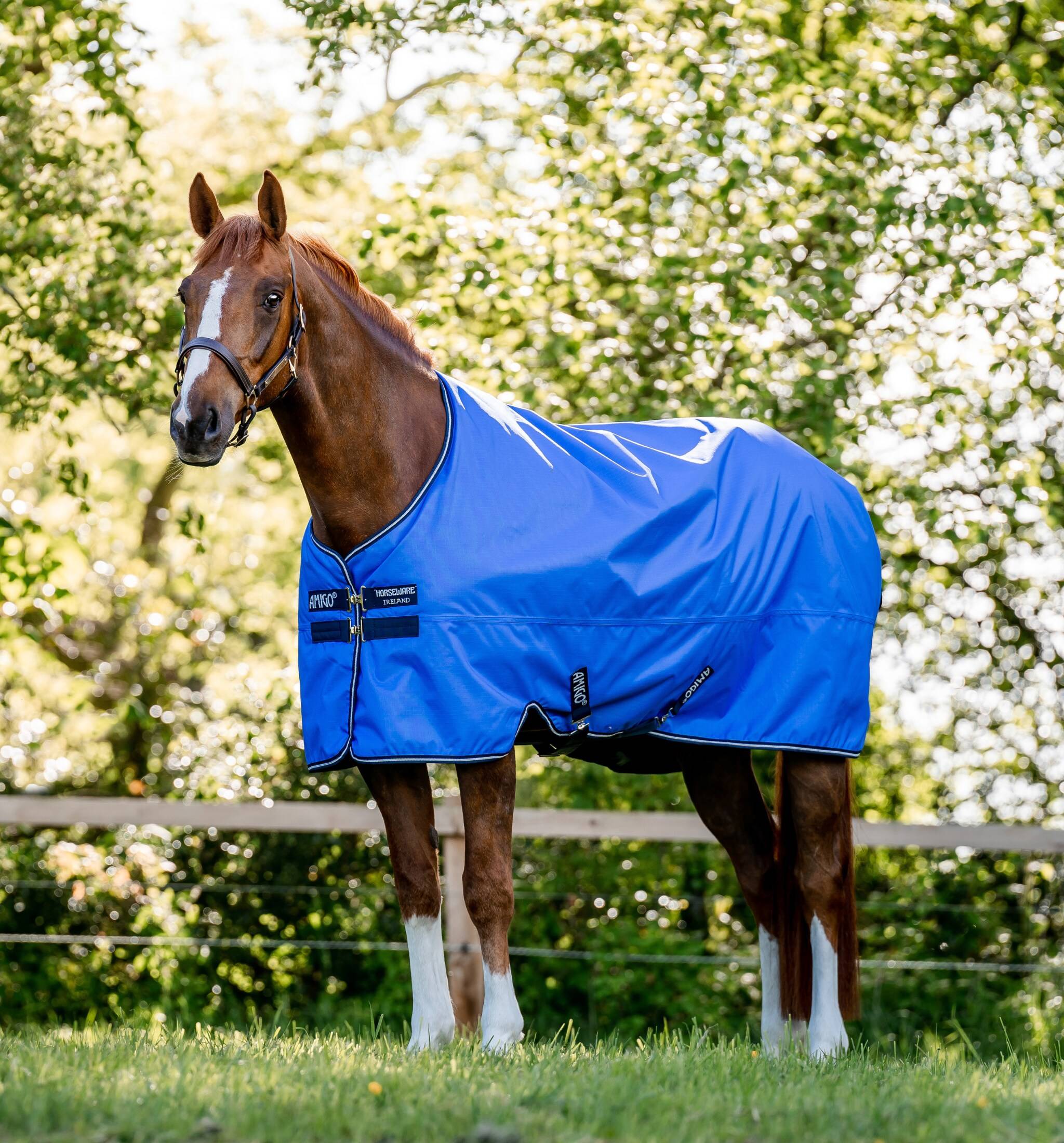 Amigo Hero Ripstop 50g - Blå, Horseware