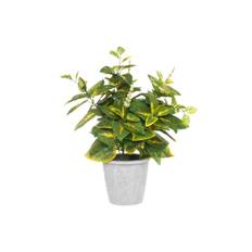 Konstgjord Coleus Palettblad med kruka 40 cm - Grön