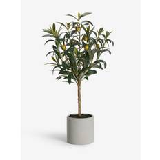 Next Green Small Artificial Olive Tree In Concrete Pot