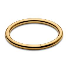 10 mm Guldfarvet Titanium Piercing Ring