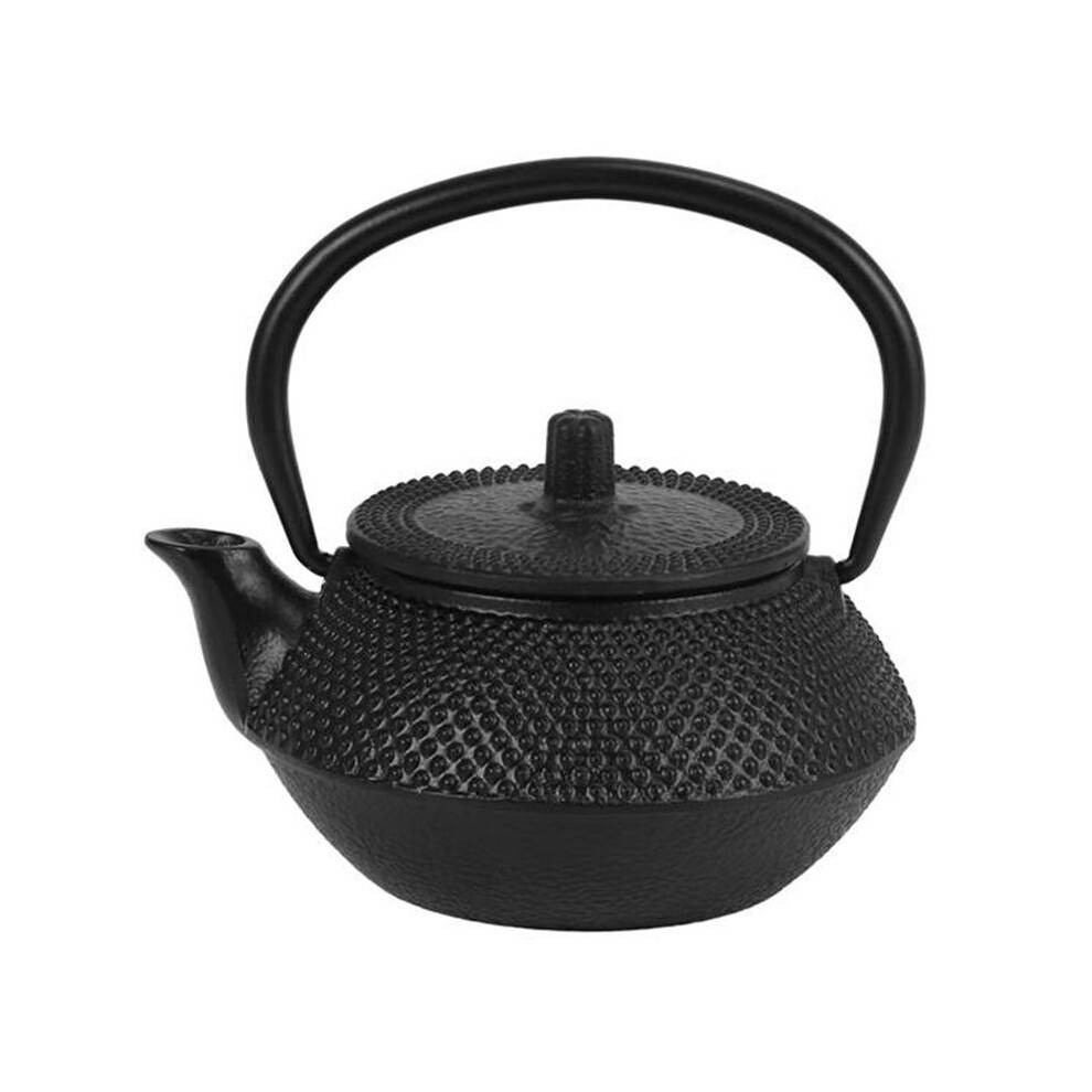 Iron Tea Pot with Stainless Steel Infuser Cast Japanese Iron Teapot Oolong Tea Puer Tea Tea Kettle 300ML