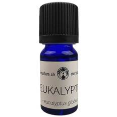 Eukalyptus Eterisk Olja Interlam