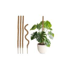 pNaturlig kokosfiber espalier giver vigtig støtte til klatreplanter, hvilket sikrer stabilitet og sund vækst. Disse stænger er i