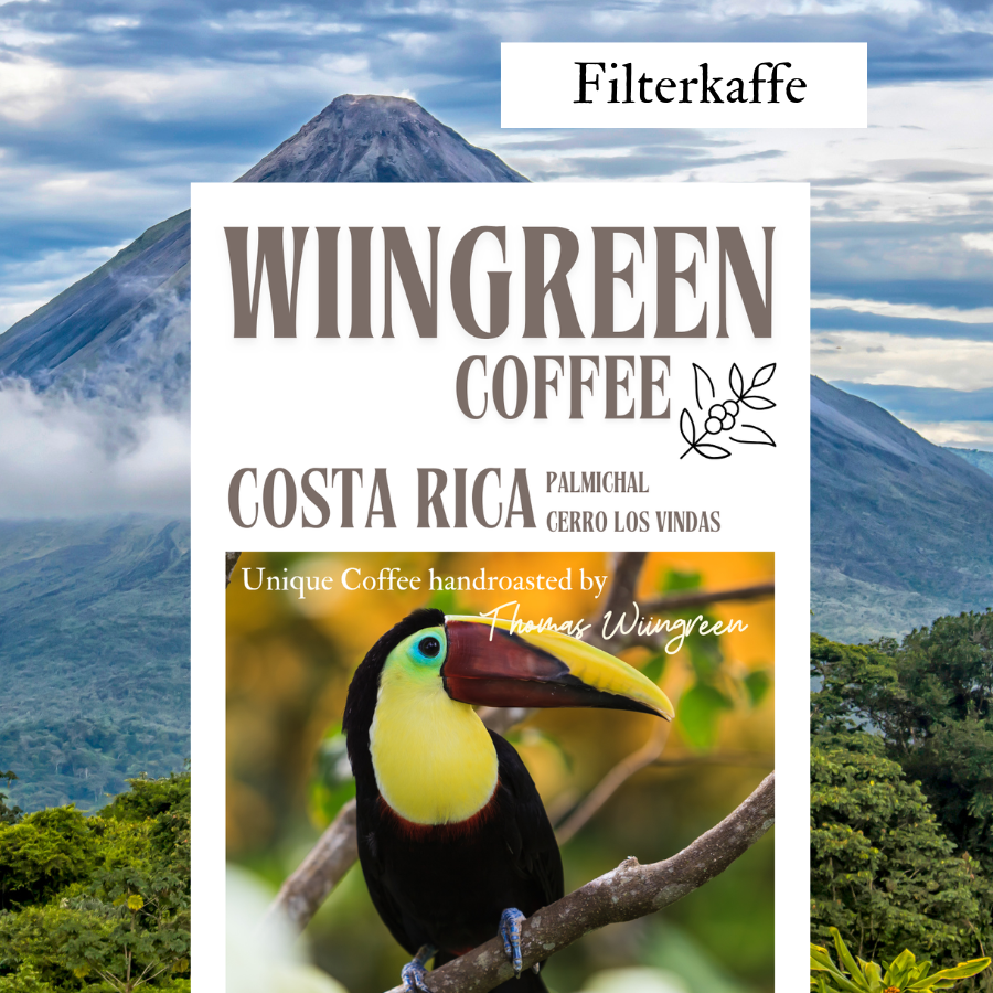 300 gr Costa Rica honey Palmichal - Cerro Los Vindas, hele bønner ristet 23/8