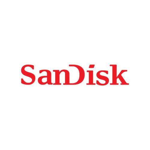 WD Blue SA510 - SSD - 1 TB - SATA 6Gb/s