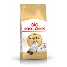 Royal Canin Ragdoll Adult Cat -