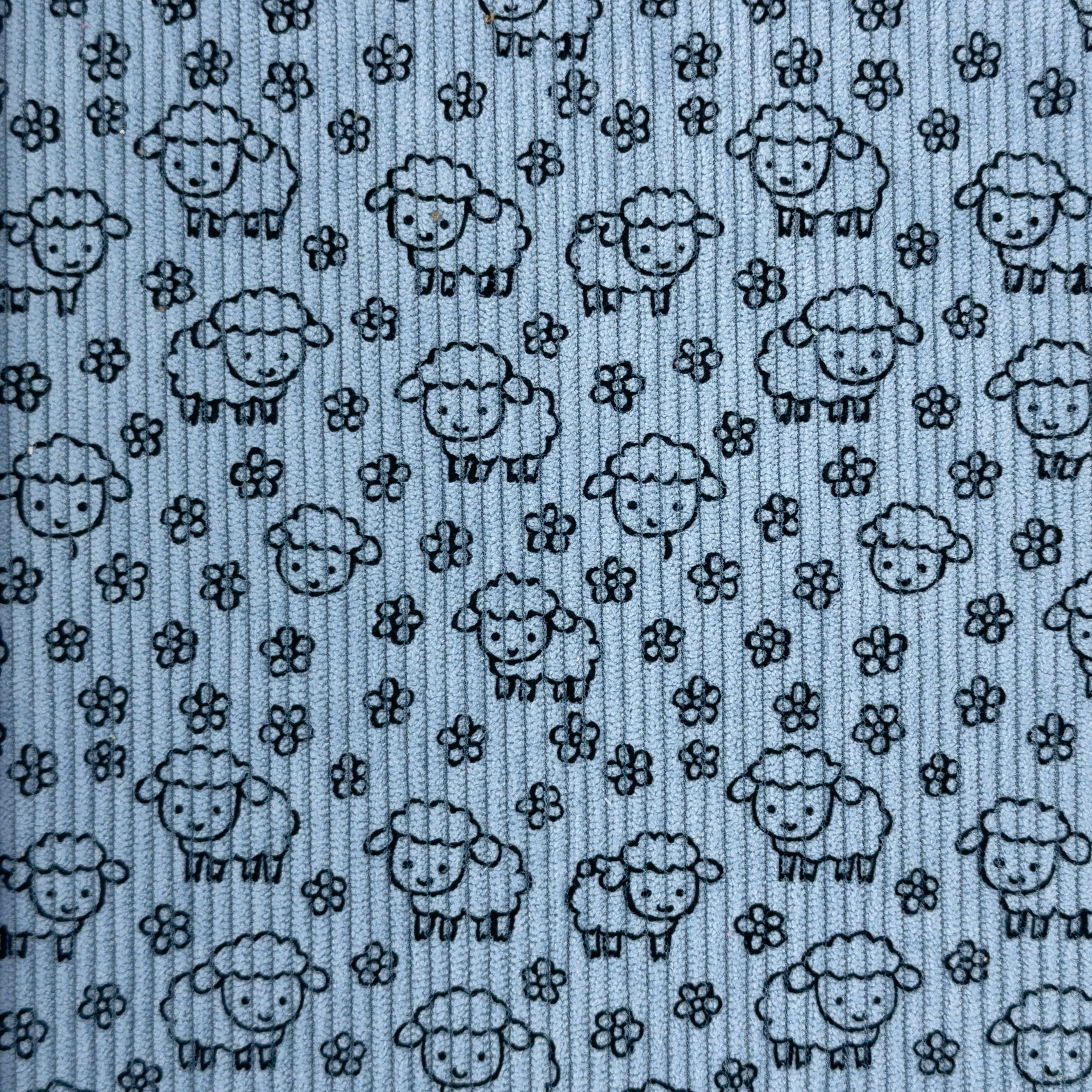 Little Sheep's / Old Blue - Ribbcord